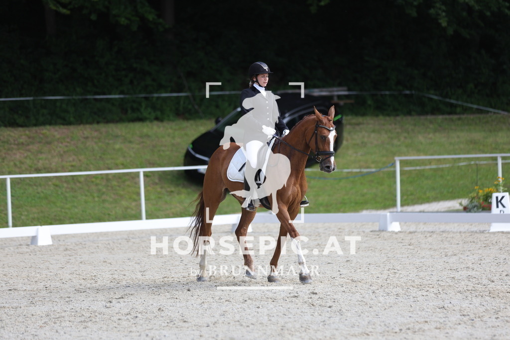 0P6A4975 | Willkommen bei Brunnmayr - Design & Fotografie – Ihrem Spezialisten für Reitturniere und Pferdeveranstaltungen in Oberösterreich, Salzburg und Bayern! Seit über 17 Jahren sind wir leidenschaftlich dabei.