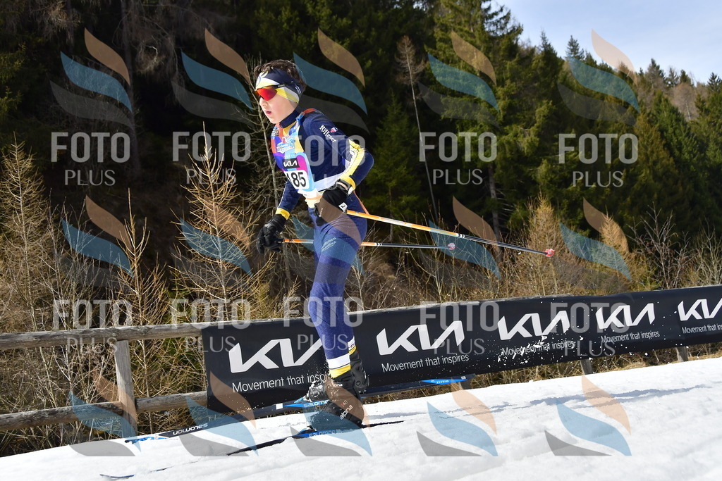 _DSC0869 | holidayphoto