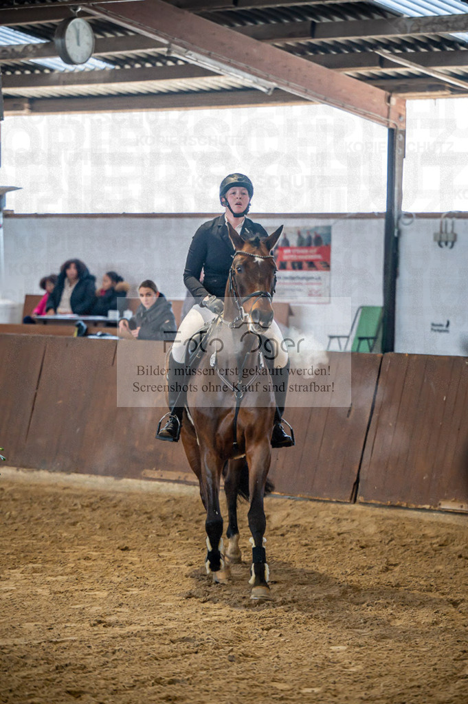 Hallenreittunier Voxtrup 2023 | Entdecke hochwertige Reitturnierfotos von Foto Oger. Professionell, emotional und authentisch – jetzt Lieblingsmomente im Shop bestellen.Deutschlandweite Turnierfotografie. - Realisiert mit Pictrs.com
