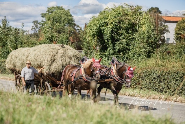 7V6A1812 | natalia-nirschl-photography