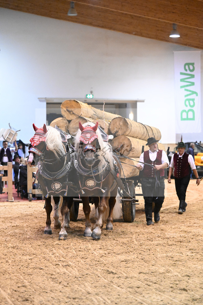 Schauprogramm_54222507 | hf-fotografie - Realisiert mit Pictrs.com