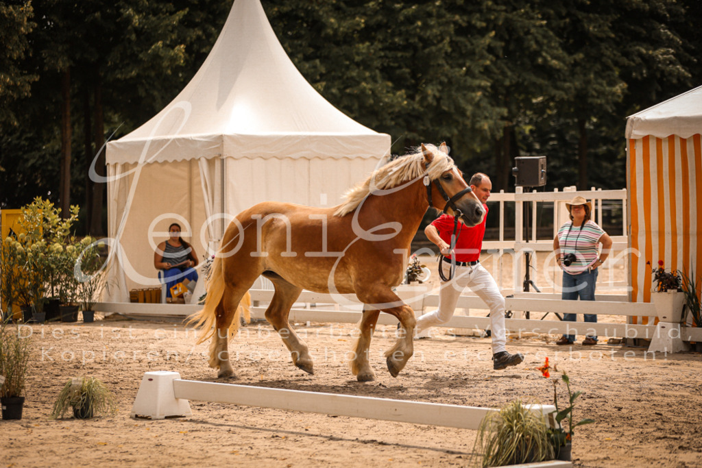 SaSieger00013 | Leoni Ertmer Photography - Realisiert mit Pictrs.com