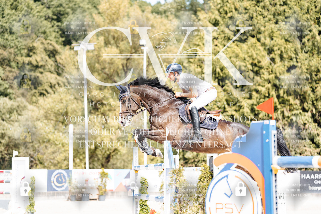 CK905172 | Turnierfotografie Pferdefotografie Trier Rheinland-Pfalz Pferdesport Reitsport Tierfotografie Sportfotografie Pferdevideo Pferdevideografie Equestrianvideography equestrianphotography  - Realisiert mit Pictrs.com