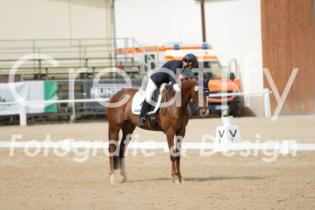 IMG_1681 | Creatify Fotografie