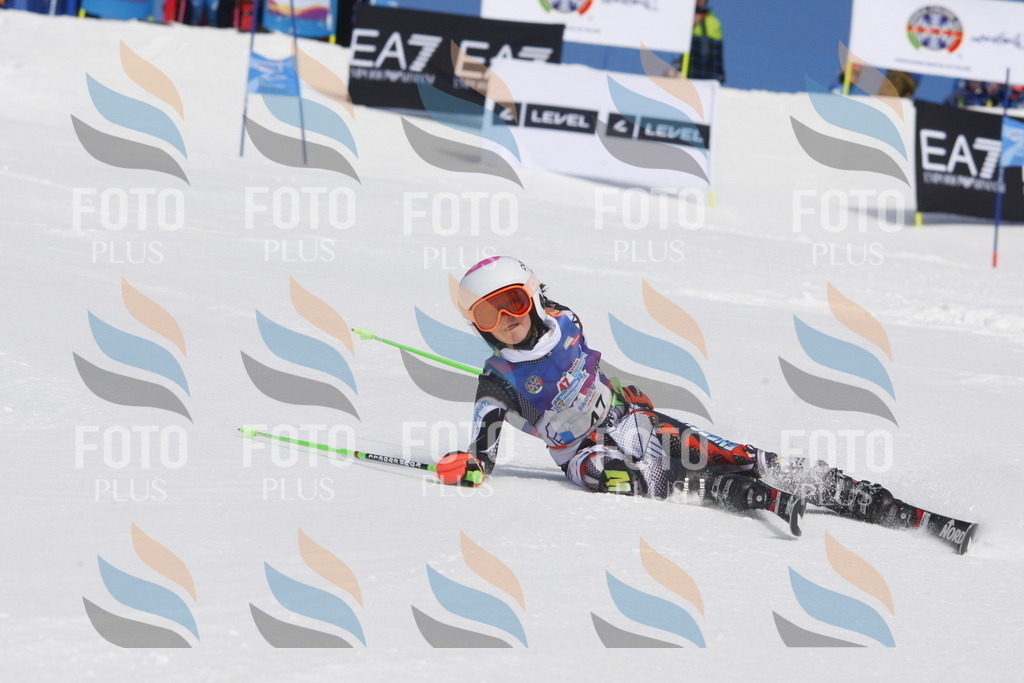 _W1G0693 | holidayphoto