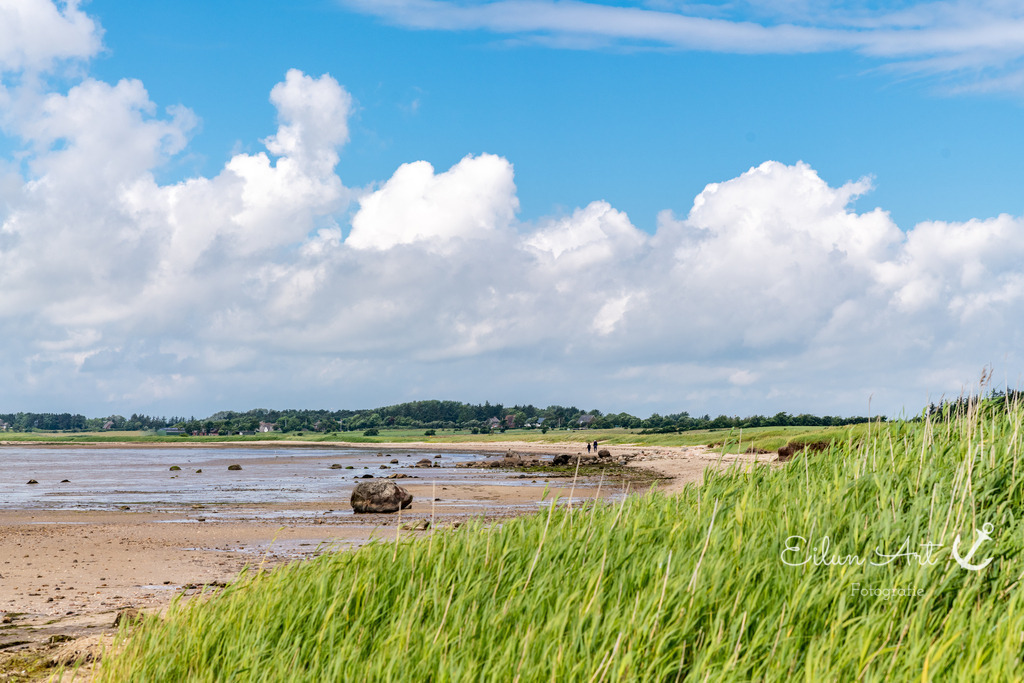 20240616-EAF_2106 | Eilun-Art-Fotografie Levke Martens, ihre Fotografin für Immobilien- und Landschaftsfotografie auf Föhr, Föhrer Motive als Poster, Leinwand, hinter Acrylglas oder stelle dir deinen eigenen Monatskalender zusammen, mit nur einem Klick