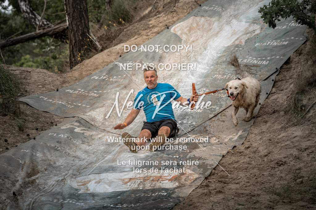 nelerasche_sa1430-1500_230 | nelerasche