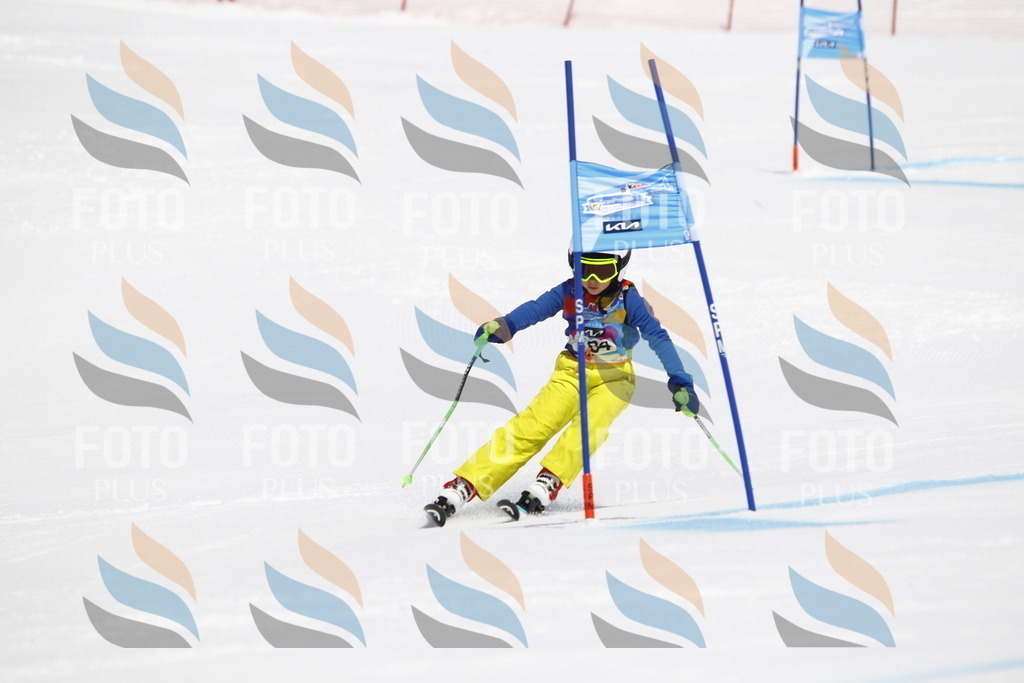 _U3G4827 | holidayphoto