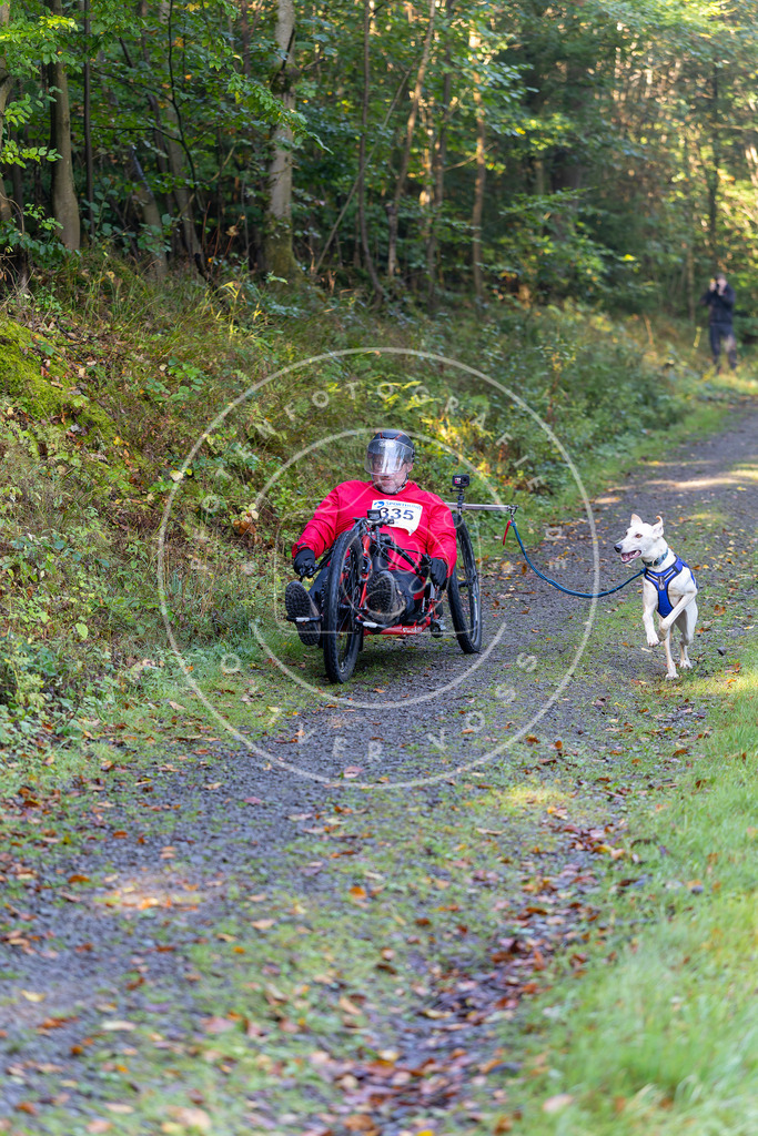 Pfotenfotografie_DV3A7929 | Hundefotografie, Tierfotograf, Pfotenfotografie, Fotoshooting Hund, Hunde Portrait, Hundesport, Hundeportraits, Heideshooting, Hunde, Sportfotograf, Hundefotograf, Turnierhundsport, THS,  - Realisiert mit Pictrs.com