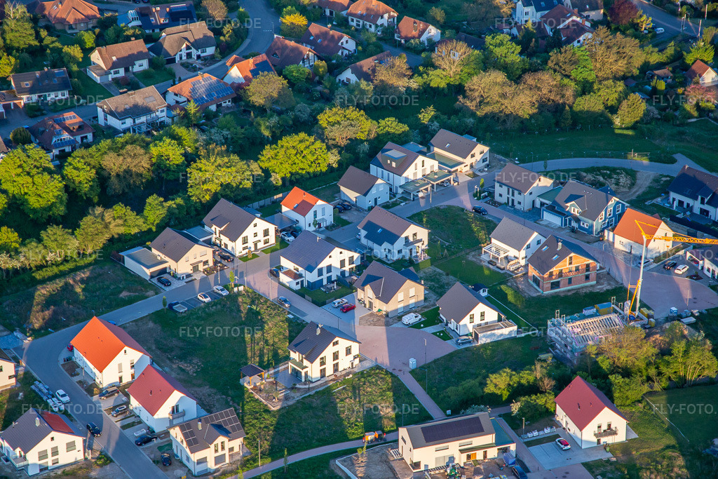 Luftbild: Rosen- und Fliederweg in Kandel im Bundesland Rheinland-Pfalz in Deutschland. Foto: IMG_140366.jpg vom 23.04.2024 durch Werner Riehm/FLY-FOTO.de