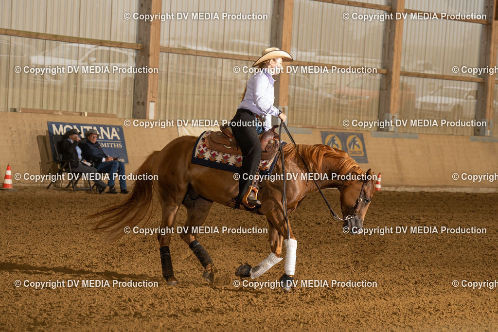 LAU00444 | dv-media-shop - Realisiert mit Pictrs.com