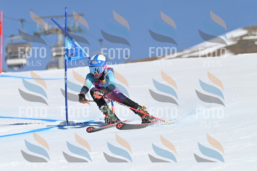 BGV_7564 | holidayphoto