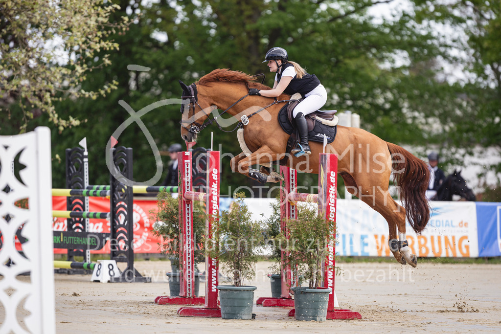 260503_Spenge_7_M2-Spr-m-steig-Anf-705 | Deine schönsten Turniermomente als professionelle Fotos! Entdecke hochwertige Pferdesport-Fotografie im Online-Shop. Jetzt Fotos finden & bestellen!
