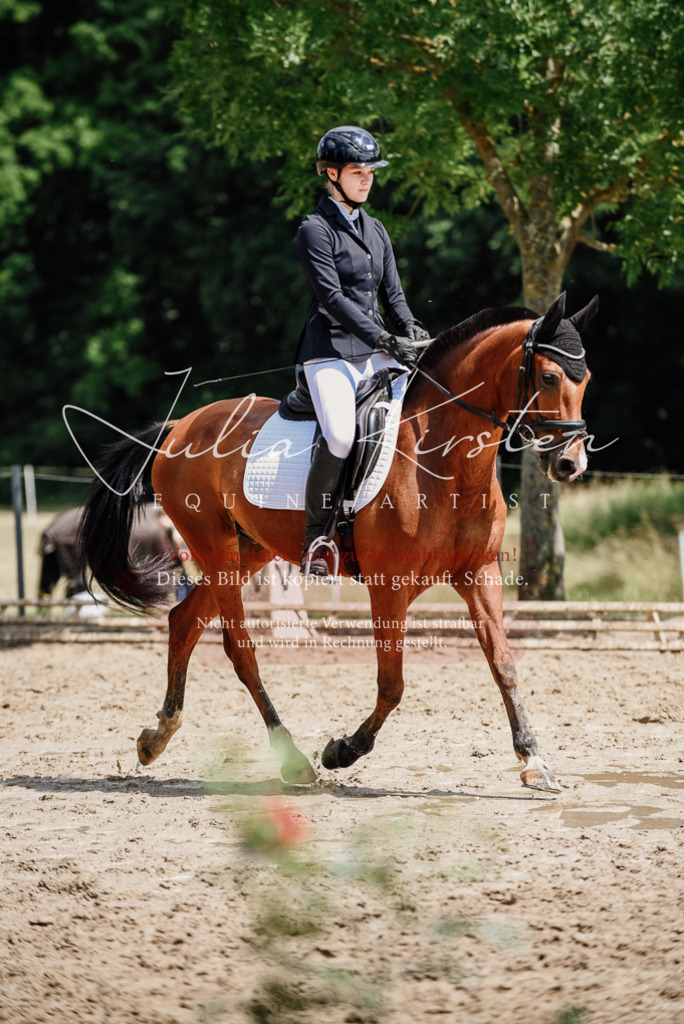 DSC_1735 | Pferde- und Turnierfotografie in Westsachsen. Pferdeportraits, Auftragszeichnungen und intuitive Kunst.