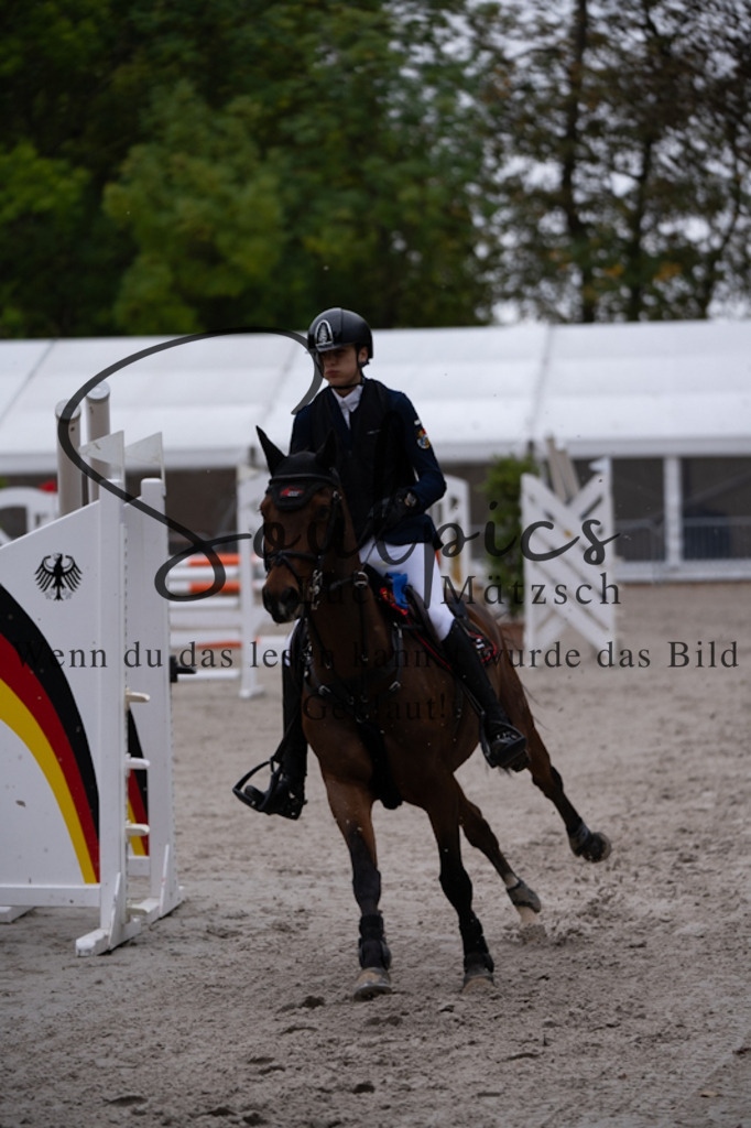 A7V00357 | Pferdefotograf