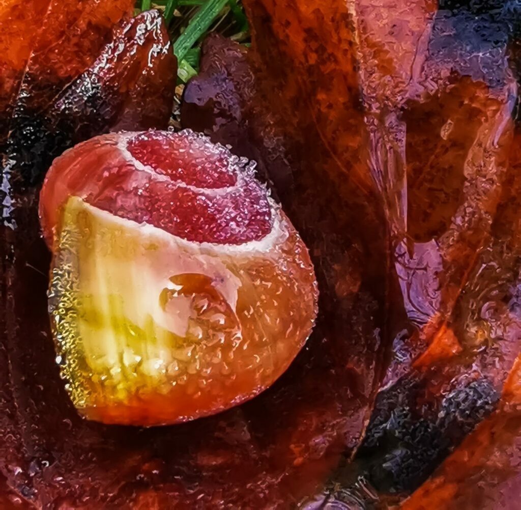 PSX_20221111_235536 | mtkfoto_ - Realisiert mit Pictrs.com