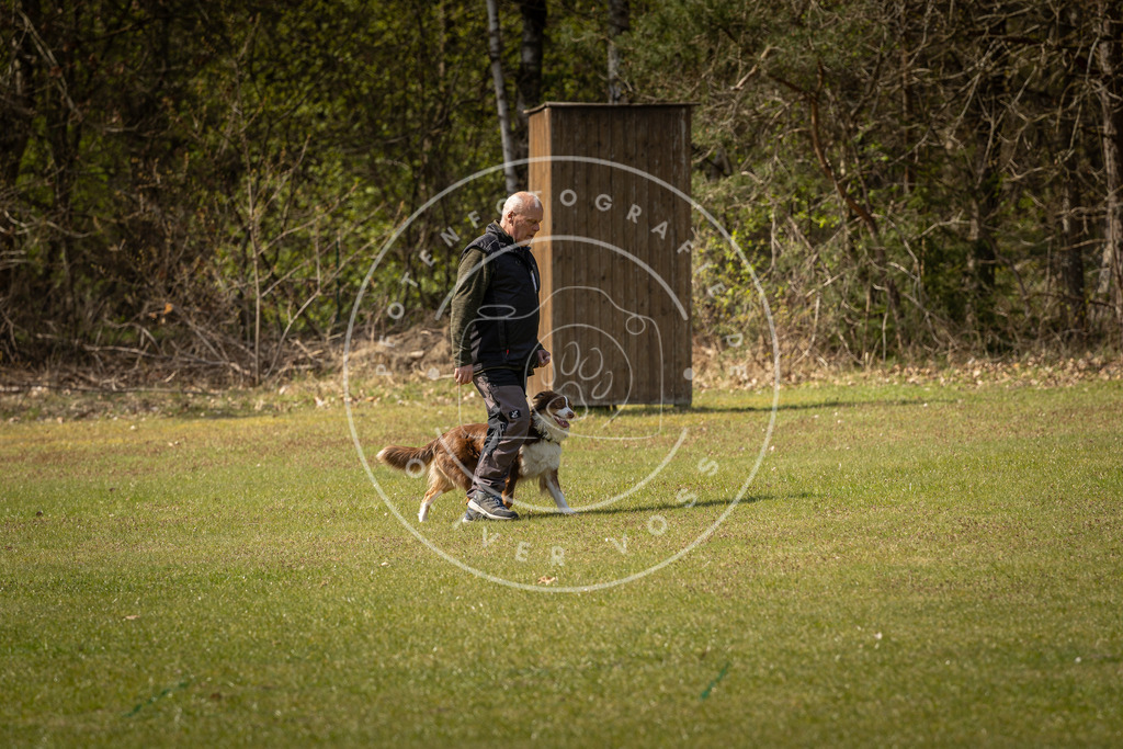 Pfotenfotografie_DV3A1335 | Hundefotografie, Tierfotograf, Pfotenfotografie, Fotoshooting Hund, Hunde Portrait, Hundesport, Hundeportraits, Heideshooting, Hunde, Sportfotograf, Hundefotograf, Turnierhundsport, THS,  - Realisiert mit Pictrs.com