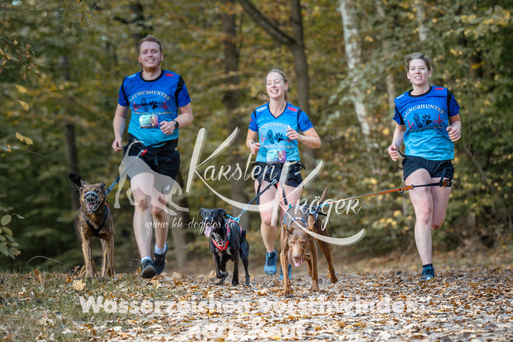 1312_ZZ97655 | kk-dogfotos