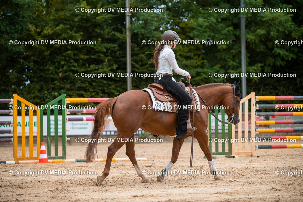 ZS2_8627 | dv-media-shop - Realisiert mit Pictrs.com