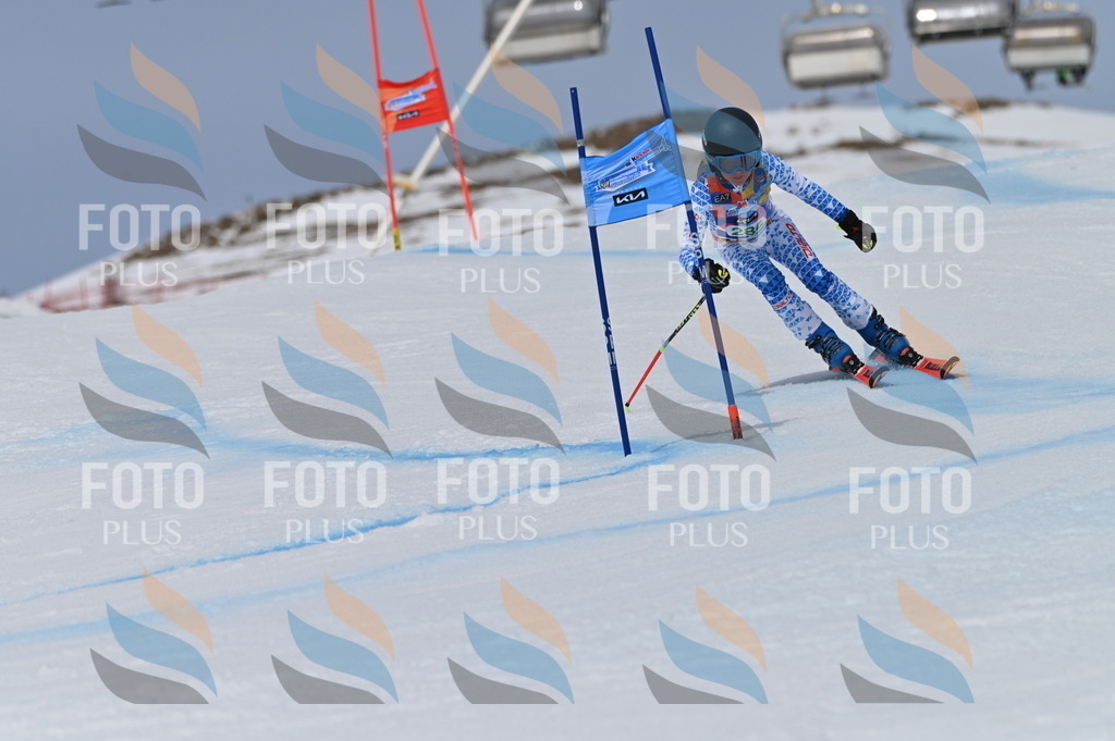 BGV_5702 | holidayphoto