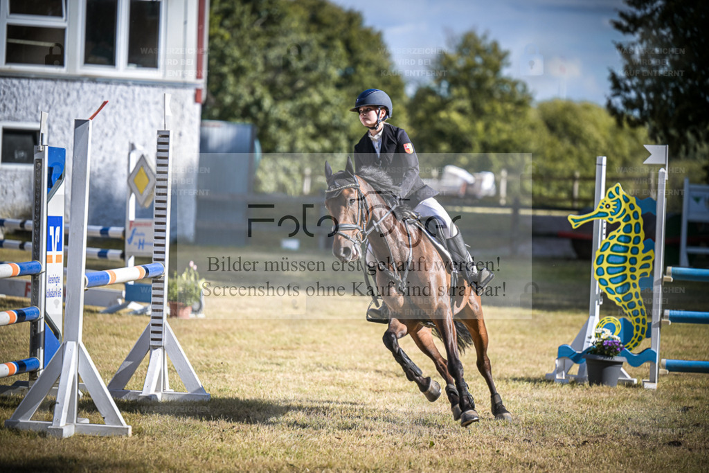 DOS_1323 | Entdecke hochwertige Reitturnierfotos von Foto Oger. Professionell, emotional und authentisch – jetzt Lieblingsmomente im Shop bestellen. - Realisiert mit Pictrs.com