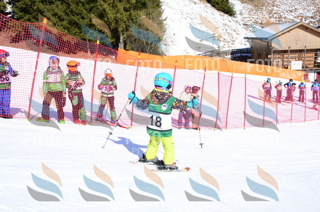 C4702 | holidayphoto