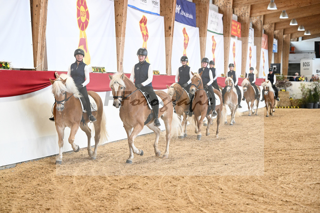 Schauprogramm Haflinger Quadrille_2251500 | hf-fotografie - Realisiert mit Pictrs.com