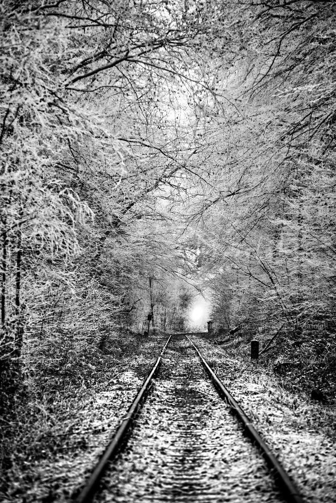 Schienen nach Nirgendwo | People- und Tierfotografie, Imageaufnahmen, Veranstaltungsfotografie und Wandbilder aus der Natur ★ Made in Germany ✔️ Druck + Downloads ✔️ Naturfotografie in Top Qualität ★ schneller Versand, weltweite Lieferung! - Realisiert mit Pictrs.com