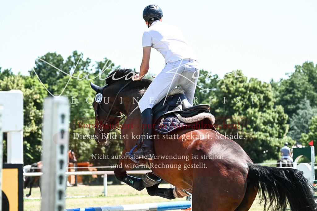 DSC_0470 | Pferde- und Turnierfotografie in Westsachsen. Pferdeportraits, Auftragszeichnungen und intuitive Kunst.