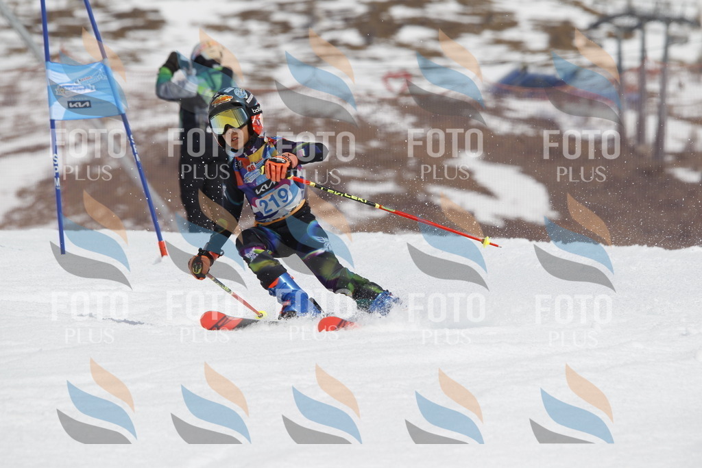 _U3G2350 | holidayphoto