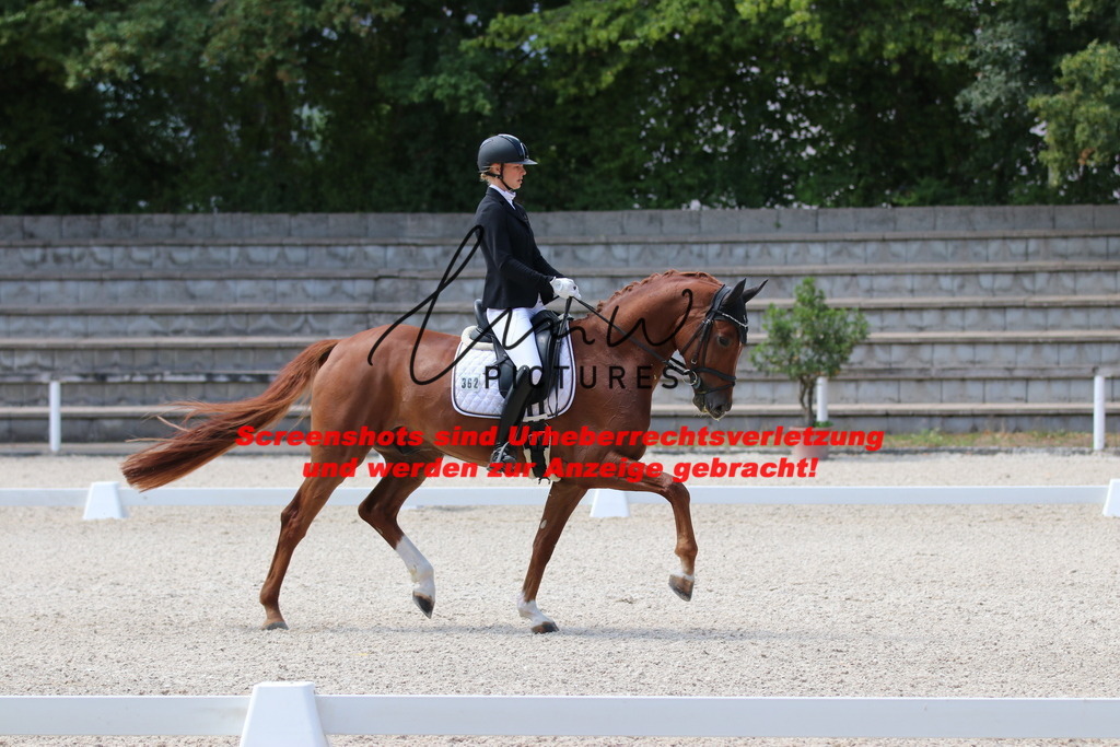 IMG_4513 | lmwpictures - Realisiert mit Pictrs.com