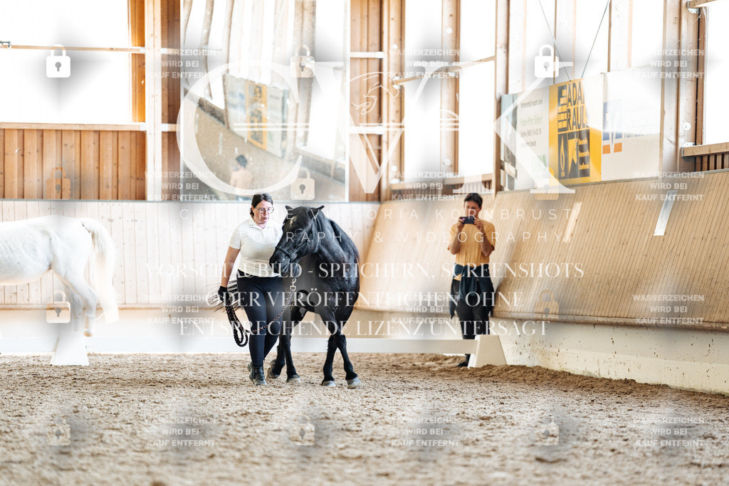 CK907499 | Turnierfotografie Pferdefotografie Trier Rheinland-Pfalz Pferdesport Reitsport Tierfotografie Sportfotografie Pferdevideo Pferdevideografie Equestrianvideography equestrianphotography  - Realisiert mit Pictrs.com