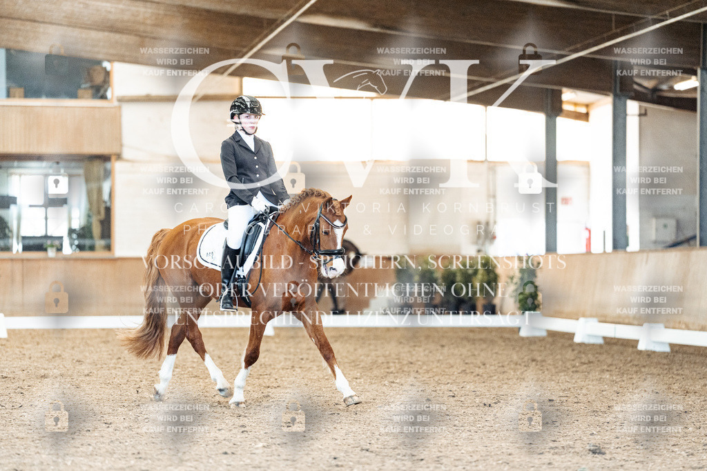 CK908938 | Turnierfotografie Pferdefotografie Trier Rheinland-Pfalz Pferdesport Reitsport Tierfotografie Sportfotografie Pferdevideo Pferdevideografie Equestrianvideography equestrianphotography  - Realisiert mit Pictrs.com