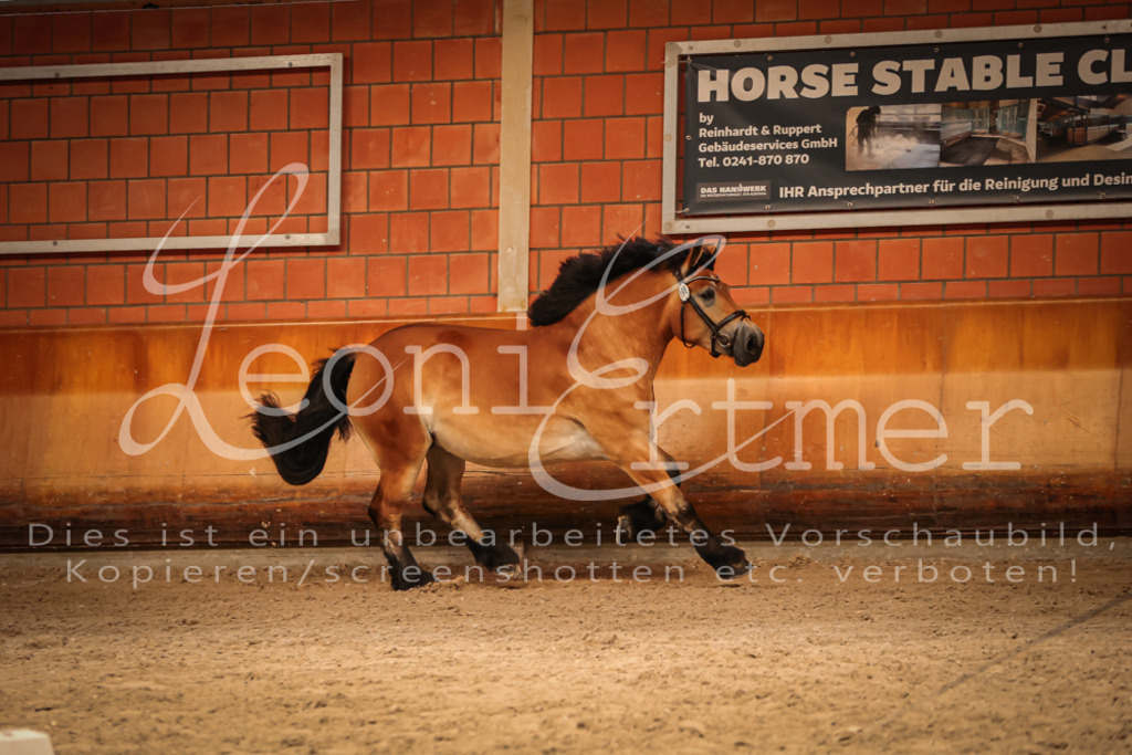 SaFL00195 | Leoni Ertmer Photography - Realisiert mit Pictrs.com