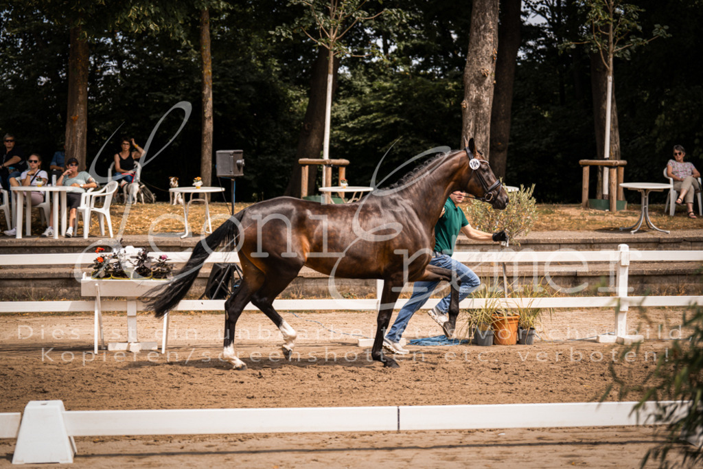 2. Fr00090 | Leoni Ertmer Photography - Realisiert mit Pictrs.com