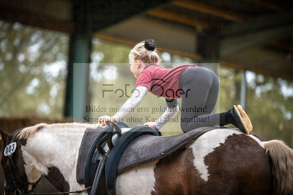 DOS_0167 | Entdecke hochwertige Reitturnierfotos von Foto Oger. Professionell, emotional und authentisch – jetzt Lieblingsmomente im Shop bestellen.Deutschlandweite Turnierfotografie. - Realisiert mit Pictrs.com