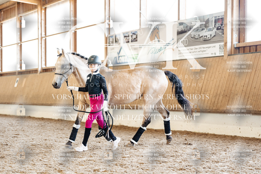 CK907182 | Turnierfotografie Pferdefotografie Trier Rheinland-Pfalz Pferdesport Reitsport Tierfotografie Sportfotografie Pferdevideo Pferdevideografie Equestrianvideography equestrianphotography  - Realisiert mit Pictrs.com