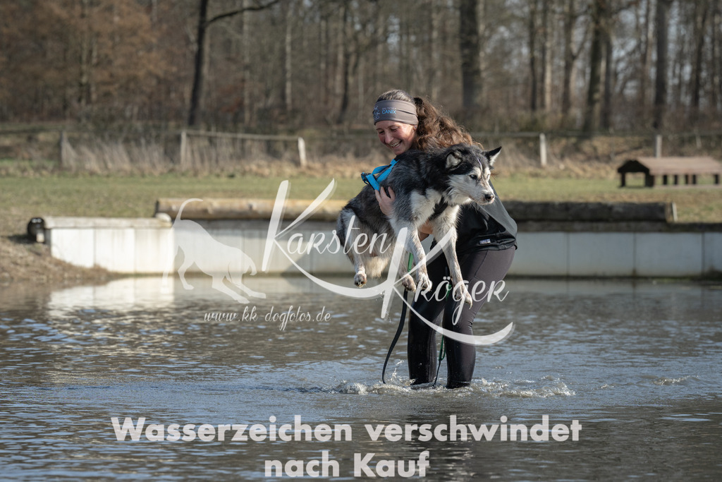 1330_ZZ96670 | kk-dogfotos
