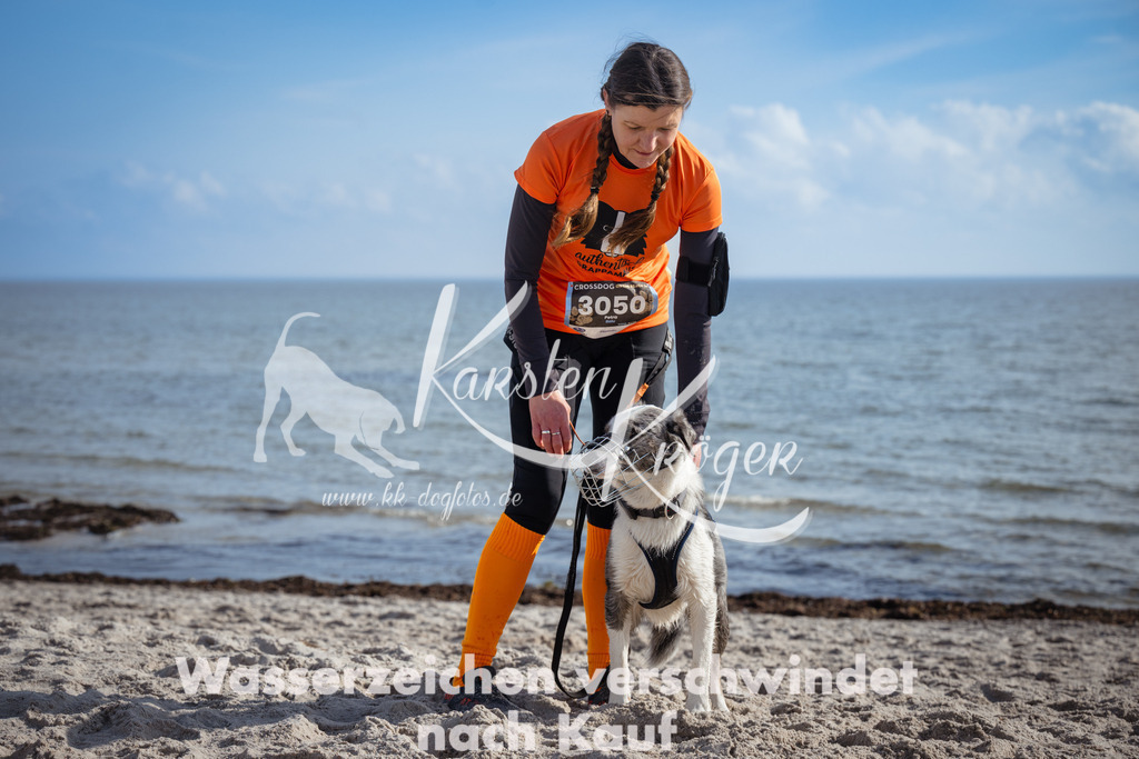 1248_ZZ99007 | kk-dogfotos