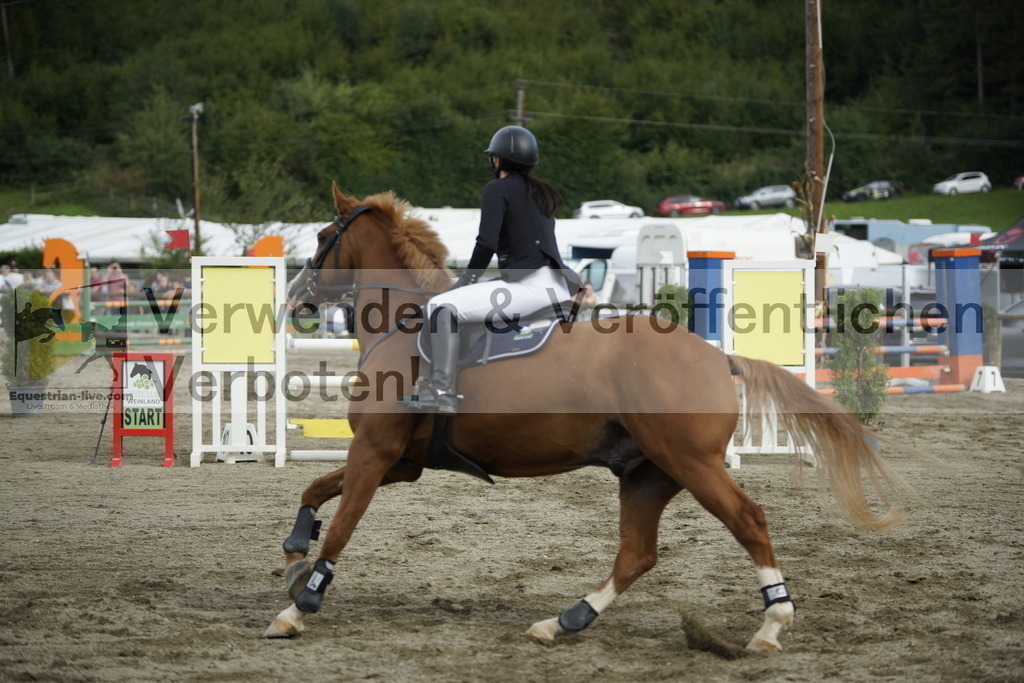 _DSC4535 | equestrian-live-com