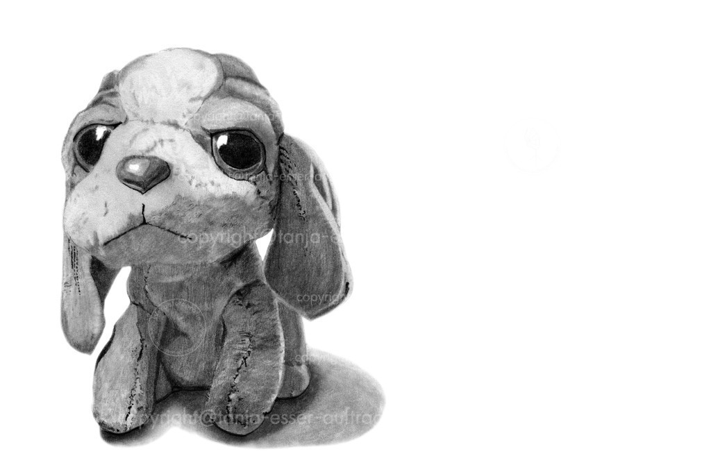 Plüschtier Hund | Bleistift Zeichnung nach einem realen Plüschtier Hund mit großen Augen. Seitliches Licht und Schatten. 