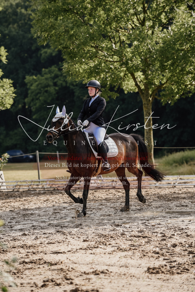DSC_8248 | Pferde- und Turnierfotografie in Westsachsen. Pferdeportraits, Auftragszeichnungen und intuitive Kunst.