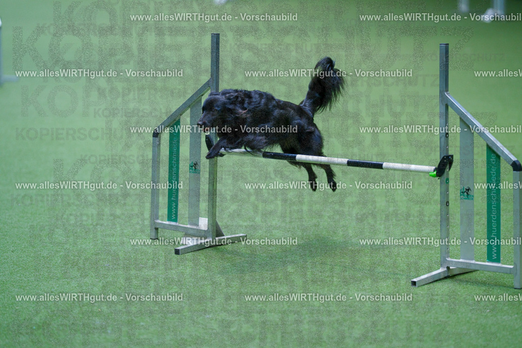 @allesWIRTHgut_Tierfotografie - www.allesWIRTHgut.de - 2604261229-7R501055 | Professionelle Tierfotografie in Mönchengladbach von Daniel Wirth (allesWIRTHgut). Liebevolle & natürliche Bilder von Hunden & Katzen für unvergessliche Erinnerungen.