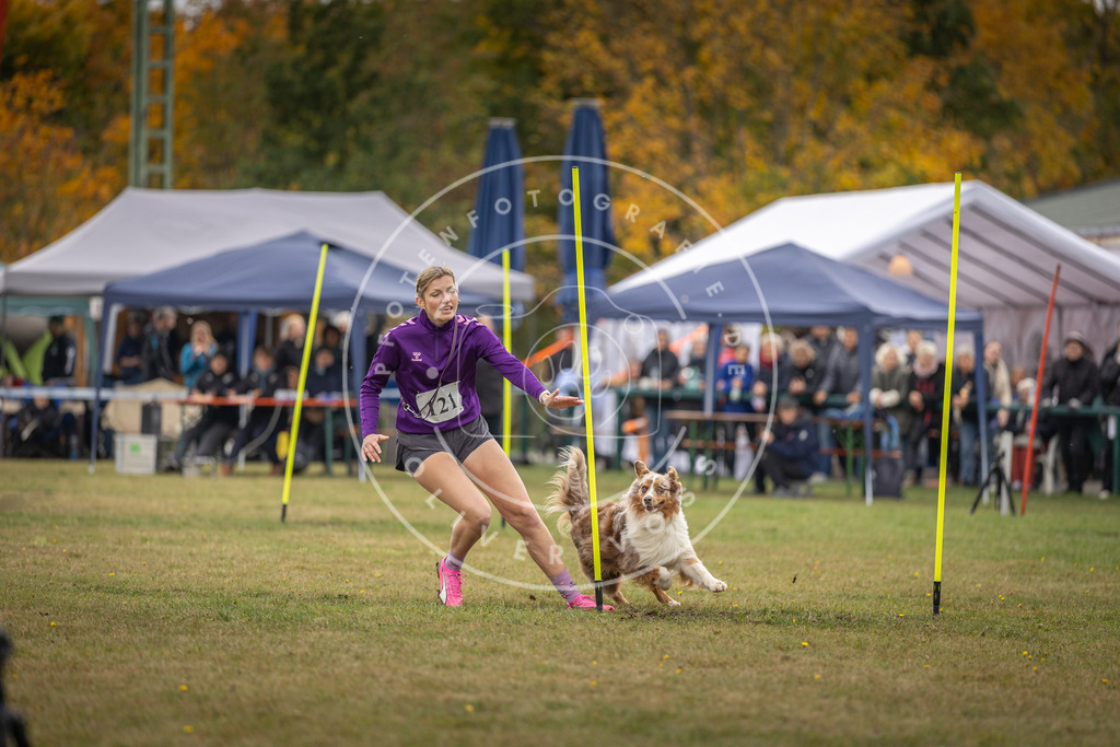 Pfotenfotografie_DV3A7645 | Hundefotografie, Tierfotograf, Pfotenfotografie, Fotoshooting Hund, Hunde Portrait, Hundesport, Hundeportraits, Heideshooting, Hunde, Sportfotograf, Hundefotograf, Turnierhundsport, THS,  - Realisiert mit Pictrs.com