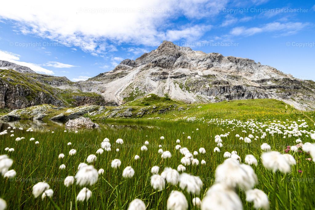 Fotos_Copyright_Chri_Fischbacher_Druck-467 | Bildershop Chri Fischbacher - Realisiert mit Pictrs.com