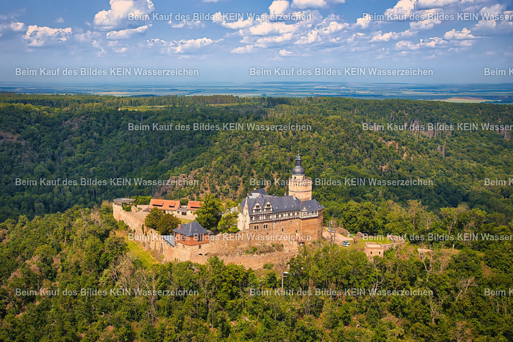 Burg_Falkenstein_5067 | Luftbild der Burg Falkenstein im Harz im Landkreis Harz in Sachsen-Anhalt. Die mittelalterliche Burganlage liegt auf einem bewaldeten Höhenzug im Selketal und gehört zu den markanten Sehenswürdigkeiten der Region. - Realisiert mit Pictrs.com