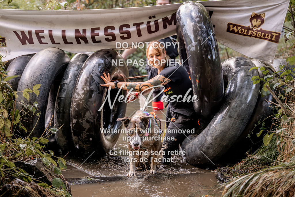 nelerasche_Hunsrück2026_Sa1400-1500_182 | nelerasche