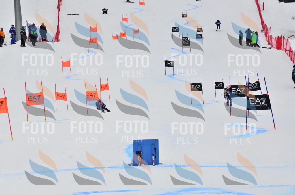 _ELE3710 | holidayphoto