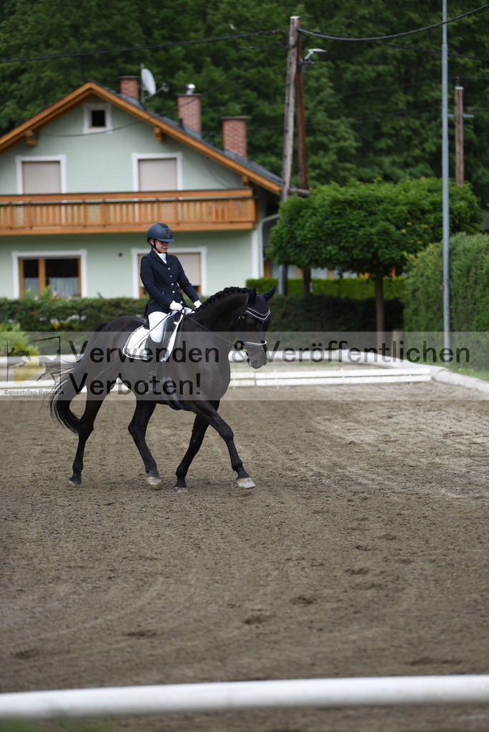 DSC_3897 | equestrian-live-com