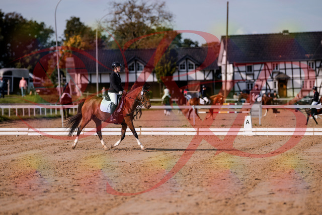 2026_10_03_Siefer-Hof_115417_Z81_93121454 | Professionelle Reitsport-, Turnier- und Eventfotografie von Robert Broda. Galerien mit ausgewählten und bearbeiteten Bildern direkt online ansehen und bestellen.